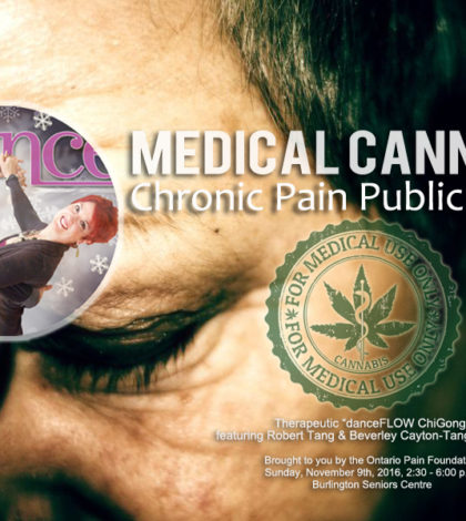 danceScape at “Medical Cannabis” Chronic Pain Public Forum