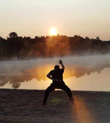 danceFLOW qigong/taichi